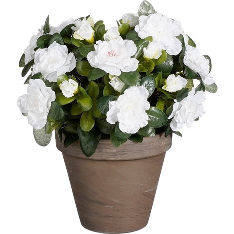 Plante artificielle azalée blanc avec pot en terre cuite gris basalte H31 x Ø26 cm - PANGIVO (1/4)