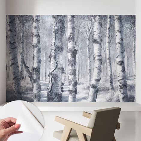 Fotomurale adesivo stickers - murali decorativo - soggiorno moderno - effetto realistico - Natura gelida 104x70 cm (1/5)