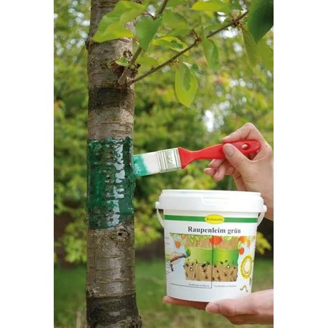 Pegamento para orugas, verde, bote de 250 g - para proteger sus árboles (1/5)