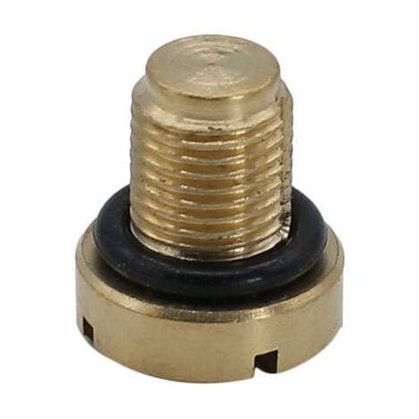 Vis de purge du vase d'expansion du liquide de refroidissement en laiton, remplacement pour la plupart des modèles BMW E36, E39 et E46 (1/4)