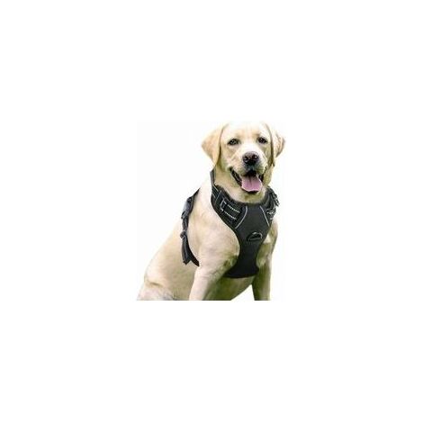 Harnais anti-traction pour chien noir – Réfléchissant – Réglable pour taille L (46-66 cm cou, 43-86 cm poitrine) – Sangle de fixation avant (1/3)