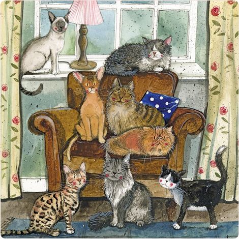 FM213 Magnethaus voller Katzen