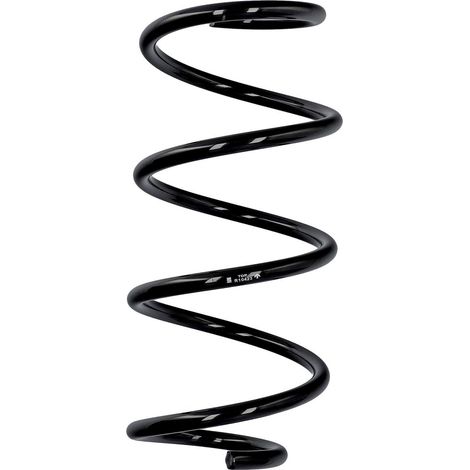 Eibach Serienfeder ERL Nissan Vorderachse R10423 (1/2)