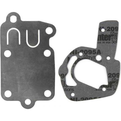 Joint + membrane pour moteur Briggs & Stratton (1/3)