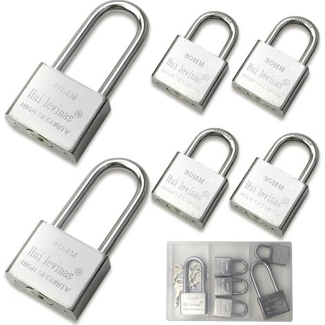 Lot de 6 Cadenas à Anse Avec Clés, 4 x 30mm (1/5)