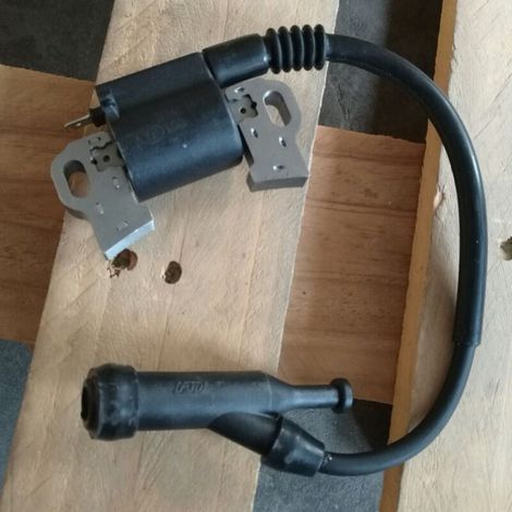 Bobine d'allumage Briggs & Stratton 797769, bobine haute tension, adaptée aux petits moteurs, pièce de rechange d'origine pour tondeuses à gazon, générateurs, etc. (1/5)