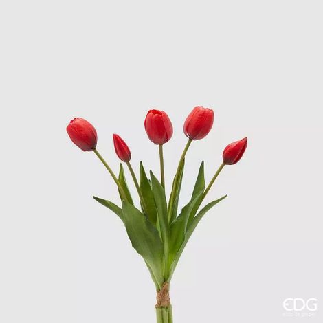 EDG Enzo De Gasperi Bouquet 5 Tulipani con Foglie H 40 Cm Red