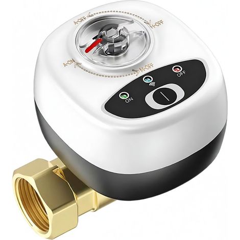 Vanne d'eau EWeLink, interrupteur automatique, vanne à bille intelligente, étanche IP65, commande à distance sans fil via application, compatible avec Google Assistant et Salute pour la commande vocal (1/5)