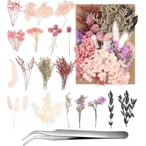 Décoration de Fleurs séchées - Fleurs séchées Naturelles pour l'artisanat, pour la Toussaint, Noël, Bricolage, Petites Fleurs séchées, avec Pince à épiler. (1/5)