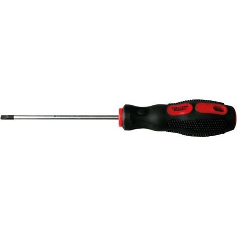 FISCHER DAREX - Tournevis fente 0.8 mm 4.0 x 100 mm