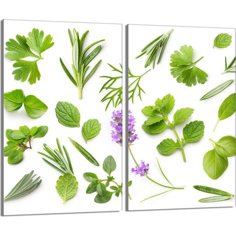 Protector de vidrio para estufa 2x30x52 Plantas (1/5)