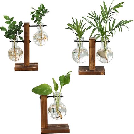 Pots de fleurs en verre vintage avec cadre vertical en bois adapts (1/5)