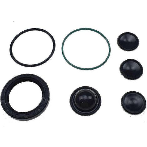 Kit de réparation de pompe à carburant haute pression pour Vauxhall Opel Vectra C Signum 2.2 Z22yh (1/3)
