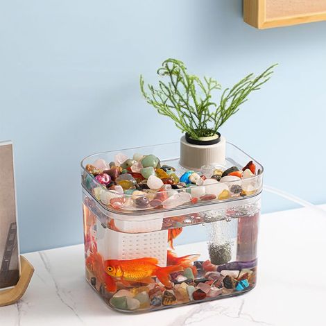 Aquarium d’élevage mini transparent – Pompe à air USB, idéal pour betta, crevettes, poissons rouges, bureau/maison, écologique – Décoration aquatique – Entièrement transparent