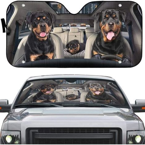 Pare Soleil Voiture Brise Avant pour Citroen C4 Berline,