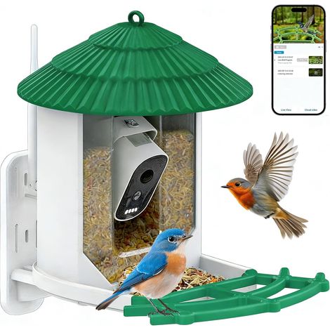 notifica e registrazione automatica di, HD, IP65, 5200 mAh, visione notturna, risoluzione 1080p, mangiatoia per uccelli con telecamera, riconoscimento uccelli tramite IA (1/5)