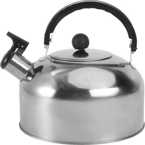Wasserkocher aus Edelstahl mit flachem Boden, induktionsgeeignet (ca. 2 l) – 20 x 20 x 17,5 cm – Silber (1/3)
