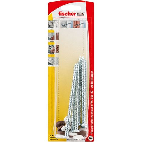 Vite per telaio finestrino con calotta (6) FISCHER FFS75112K