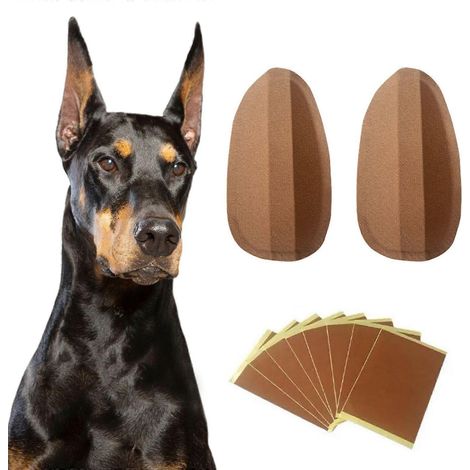 Ear Sticker Fixed Support German Puppy Ear Raise Tool, 5x3.5cm