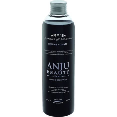 Shampooing Ebène Anju Beauté : 250ml (1/2)