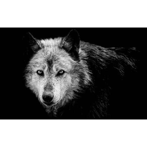 Tableau Loup close up - 80x50cm - made in France (1/5)