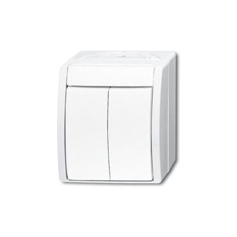 Busch-Jaeger Serienschalter 2601/5 W-54 (1/5)