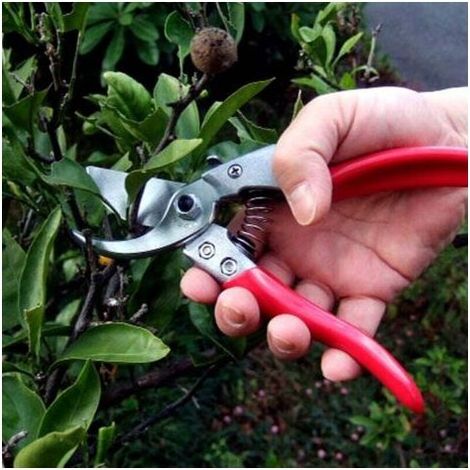 vs-8z, Gartenschere, ARS-VS-8XZ