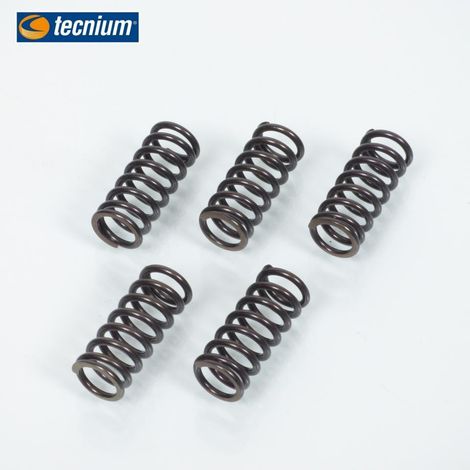 kupplungsfeder tecnium für motorrad yamaha 125 dtr 1988-2004