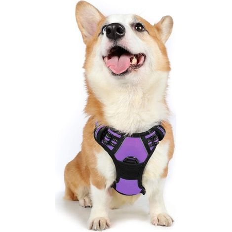 Harnais Chien M Arnais Violet Anti Traction Réfléchissant Gilet Réglable pour Chien Grand Taille, Attache Devant Crochet de Laisse pour Randonné Trajet Voiture, American Staff, Border Collie-Ensoleill