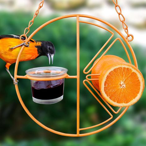 Mangeoire automatique pour orioles Clémentine, orange (1/3)