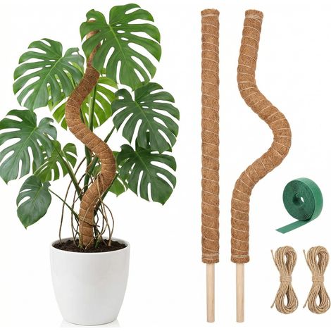 Lot 2 Tuteur Plante Grimpante Coco Piquet Plante 80cm Pliable Poteau Croissance Grimpantes Monstera Jardin Domestique (1/5)