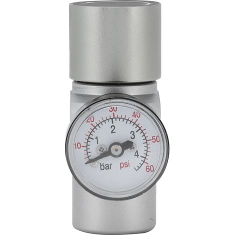 Mini régulateur de gaz CO2 avec interrupteur de coupure MFL3/8in vers TR21x4 Accessoire pour brassage amateur (1/5)