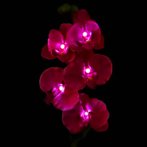 Lampe orchidée Phalaenopsis à 5 LED blanches, alimentée à l'énergie solaire, pour extérieur, idéale pour la décoration de jardin ou de cour, à installer sur un poteau ou une pelouse. (1/5)