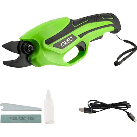 Sécateur sans fil 4V - Batterie li-lon 2000 mAh incluse - Coupe arbres fruitiers et vignes (1/5)