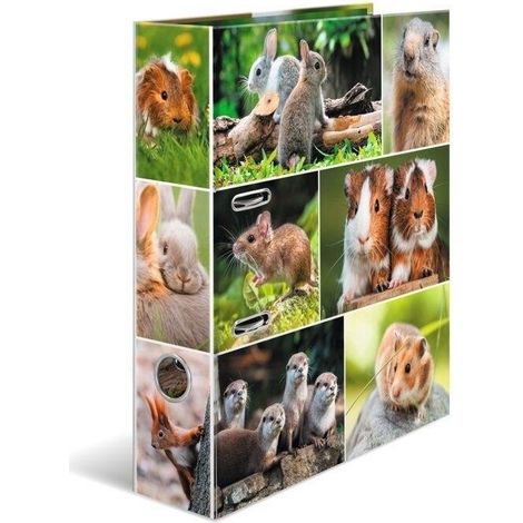 A4-Ordner – Nagetiere