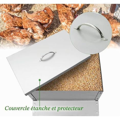 Chicken Feeder in Steel, Chicken Seed Dispenser  Planting Machine, Anti Rain, Anti Waste, Chicken Coop Accessory (1/4)