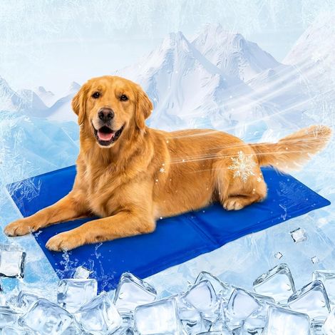 Coussin Frais pour Chien et Chat, Tapis Refroidissant Résistant pour Été et Déplacements-40x30cm (1/5)