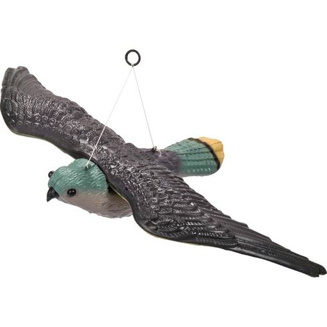 STOCKER - 4538 - Falco Spaventapasseri (1/4)