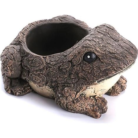 Pot de fleurs en résine pour succulentes, mini pot décoratif grenouille pour bureau et table (1/5)