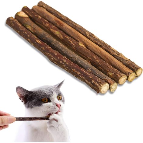 5 bâtonnets à mâcher pour chat, bois naturel, 12 cm, herbe à chat intégrée, hygiène dentaire et digestion (1/5)