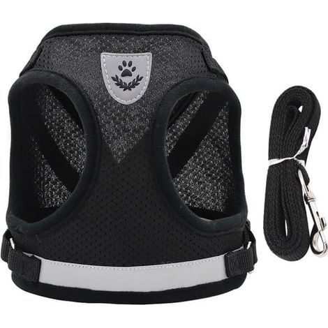 Système de confort pour animaux de compagnie : ensemble harnais et laisse réfléchissante pour chiot, rembourré en maille douce, anti-traction pour les promenades quotidiennes et les aventures en plein (1/5)