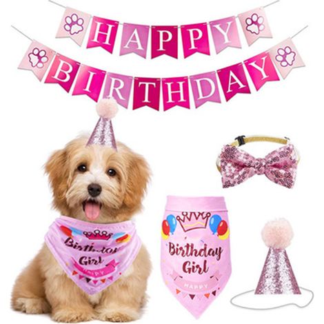Fournitures pour fête d'anniversaire de chien : chapeau d'anniversaire pour animal de compagnie et bandana pour chien mâle