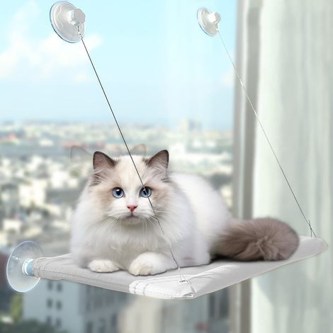 Hamac Chat pour Fenêtre - Grande Étagère Murale, Fauteuil Inclinable Jusqu'à 25 kg, Lit Super Stable pour Bronzer, 54x30CM, blanc (1/5)