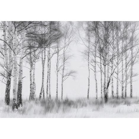 Papier peint mural forêt 3D noir blanc arbres intissé grand format design intérieur salon chambre pas cher 250x175 cm (1/5)