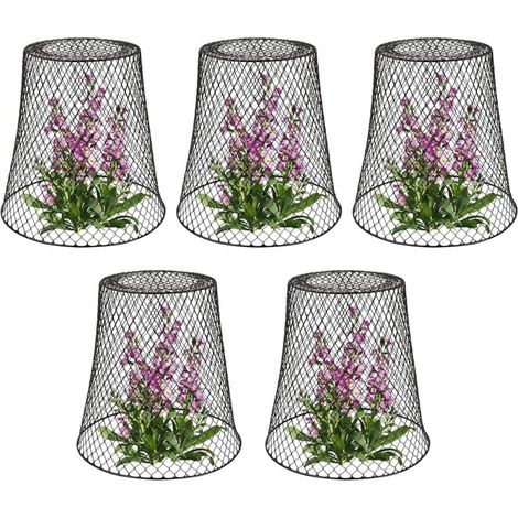Cloche de Protection Métal pour Plantes Lot de 5 Tuteur Végétaux Noir (1/4)