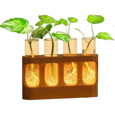 Station de multiplication des plantes avec éclairage LED à 9 niveaux d'intensité, terrarium avec support en bois, 4 vases en forme de tubes à essai.-AquaForge (1/5)