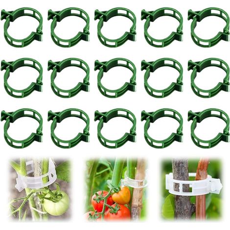 Clips de soporte de plástico para plantas, adecuados para fijar plantas de tomate, vides y hortalizas (50 unidades, verdes).