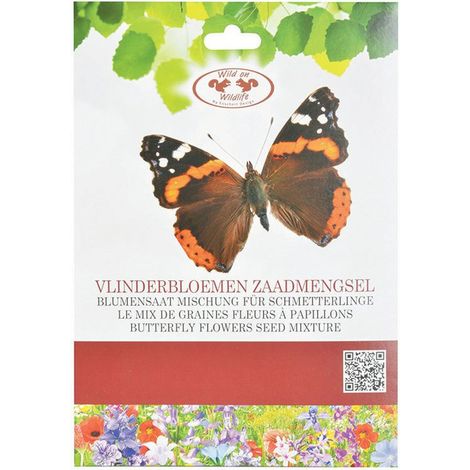 Mélange de fleurs pour attirer les Papillons (1/2)