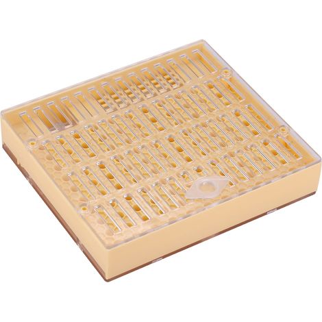 Königinnenzuchtkasten – Cupkit-Set für das Cupularve-System – Gelber Kunststoff, 14,5 x 13 x 2,8 cm – Imkerwerkzeug (1/5)