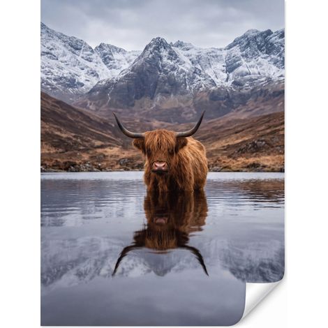Papiel Pintado Highlander escocés - Marrón - Agua 180x240 cm (1/5)
